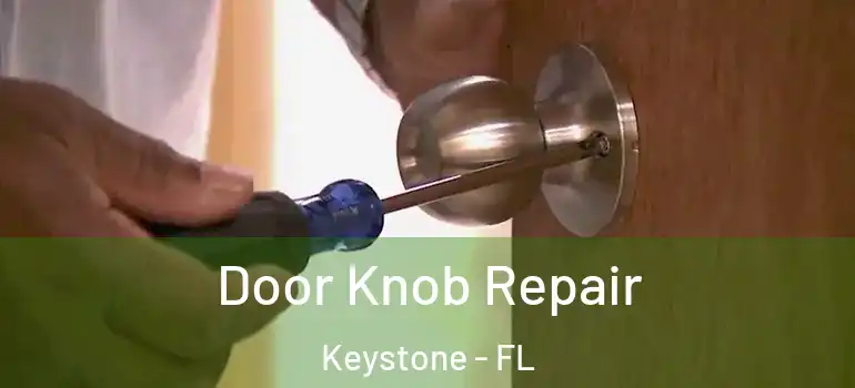  Door Knob Repair Keystone - FL