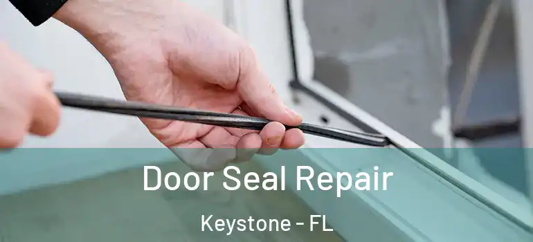  Door Seal Repair Keystone - FL