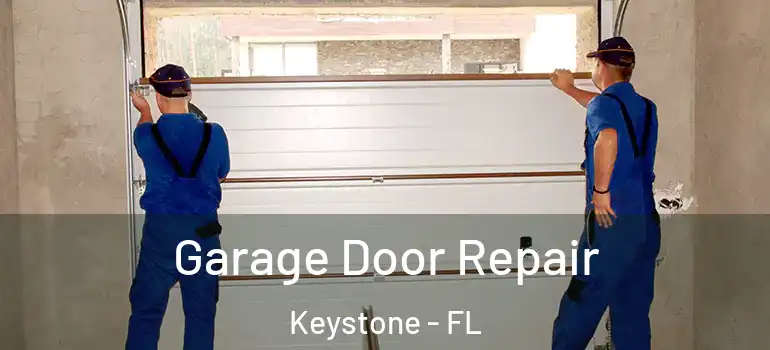  Garage Door Repair Keystone - FL