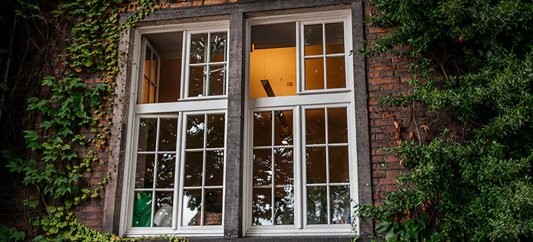 Energy Efficient Wood Windows in Keystone, FL