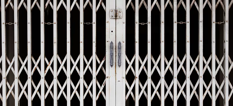 Steel Line Garage Door Repairs in Keystone, FL