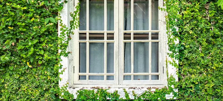 Garden Window Repair Near Me in Keystone, FL