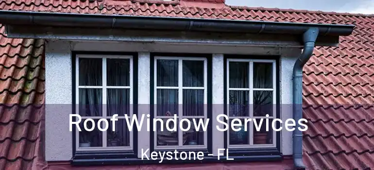  Roof Window Services Keystone - FL