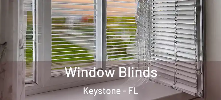  Window Blinds Keystone - FL