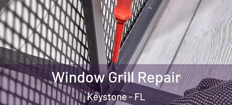  Window Grill Repair Keystone - FL