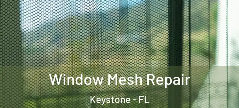  Window Mesh Repair Keystone - FL
