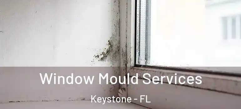  Window Mould Services Keystone - FL