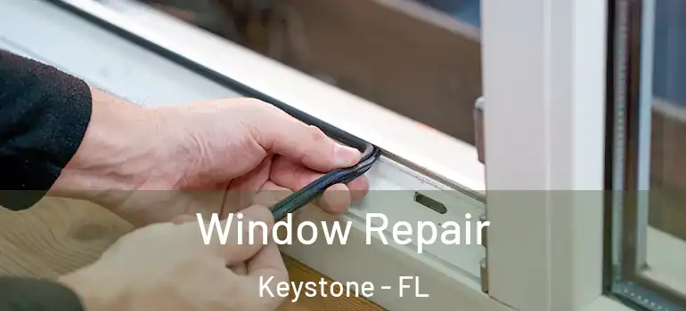  Window Repair Keystone - FL